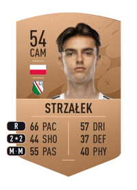 Igor Strzałek Common 54 OVR
