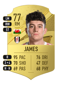 Daniel James Rare 77 OVR