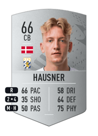 Sebastian Hausner Common 66 OVR