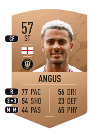 Dior Angus Common 57 OVR