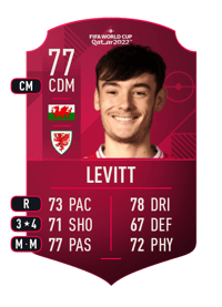 Dylan Levitt World Cup Player 77 OVR