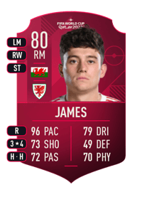 Daniel James World Cup Player 80 OVR
