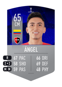 Fabián Ángel CONMEBOL SUDAMERICANA 65 OVR