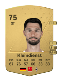 Tim Kleindienst Common 75 OVR