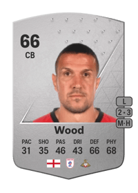 Richard Wood Common 66 OVR
