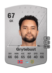 Sten Michael Grytebust Common 67 OVR