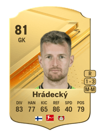 Lukáš Hrádecký Rare 81 OVR