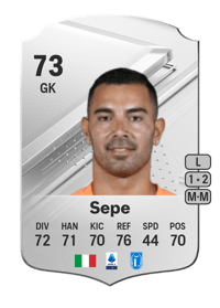 Luigi Sepe Rare 73 OVR