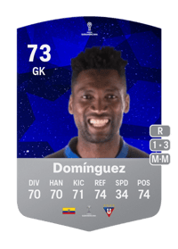 Alexander Domínguez CONMEBOL Sudamericana 73 OVR