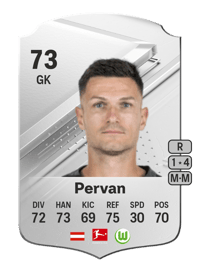 Pavao Pervan Rare 73 OVR
