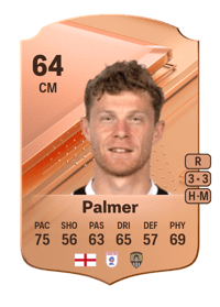Matthew Palmer Rare 64 OVR