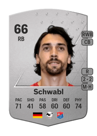 Markus Schwabl Common 66 OVR