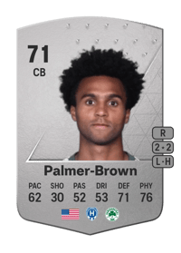 Erik Palmer-Brown Common 71 OVR