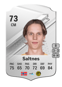 Ulrik Saltnes Rare 73 OVR