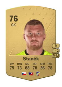 Jindřich Staněk Common 76 OVR