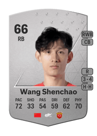 Wang Shenchao Common 66 OVR