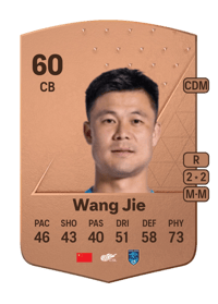 Wang Jie Common 60 OVR