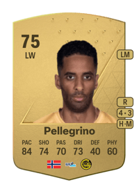 Amahl Pellegrino Common 75 OVR