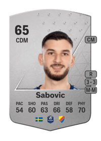 Besard Sabovic Common 65 OVR