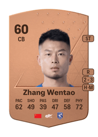 Zhang Wentao Common 60 OVR