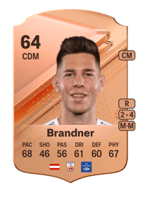 Michael Brandner Rare 64 OVR