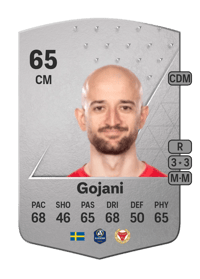 Robert Gojani Common 65 OVR