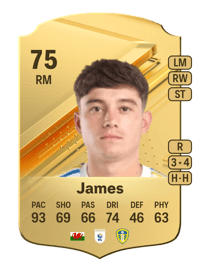 Daniel James Rare 75 OVR