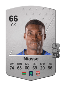 Babacar Niasse Common 66 OVR