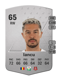 Gabriel Iancu Common 65 OVR