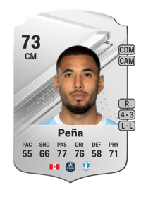 Sergio Peña Rare 73 OVR