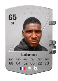 Brighton Labeau Common 65 OVR