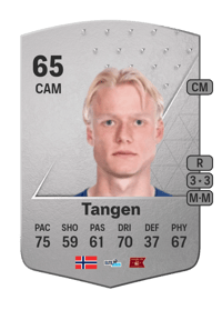 Harald Nilsen Tangen Common 65 OVR