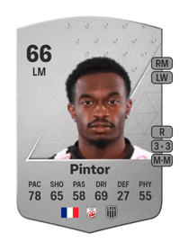 Lenny Pintor Common 66 OVR