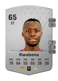 Owusu Kwabena Common 65 OVR
