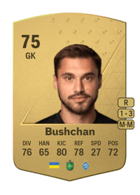 Georgiy Bushchan Common 75 OVR