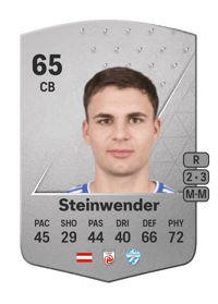 Michael Steinwender Common 65 OVR