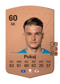 Jozef Pukaj Common 60 OVR