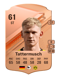 Ted Tattermusch Rare 61 OVR
