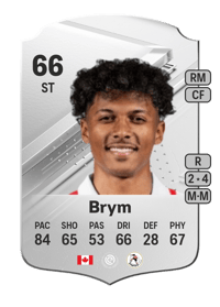 Charles-Andreas Brym Rare 66 OVR