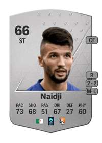 Zakaria Naidji Common 66 OVR