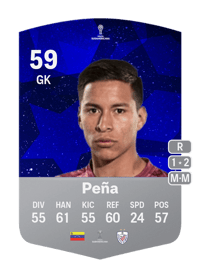 Aldair Peña CONMEBOL Sudamericana 59 OVR