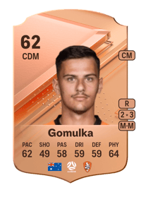 Taras Gomulka Rare 62 OVR