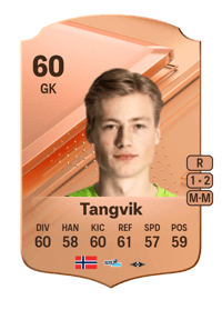Sander Tangvik Rare 60 OVR