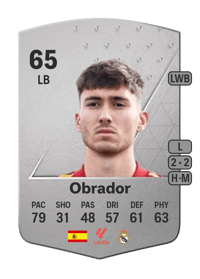 Obrador Common 65 OVR