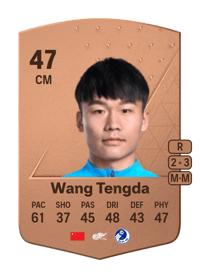 Wang Tengda Common 47 OVR