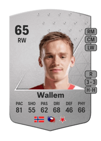 Conrad Wallem Common 65 OVR