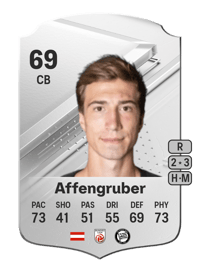 David Affengruber Rare 69 OVR