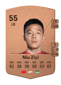 Niu Ziyi Common 55 OVR