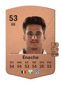 Mario Enache Common 53 OVR