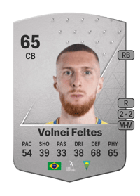 Volnei Feltes Common 65 OVR